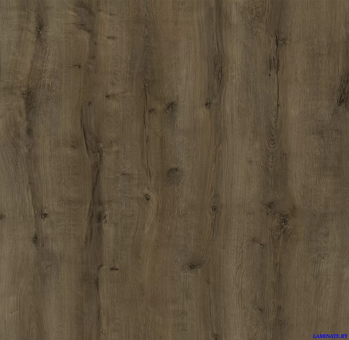 Ламинат Kastamonu Violet Дуб Вояджер 1123 в Минске | Laminate.by