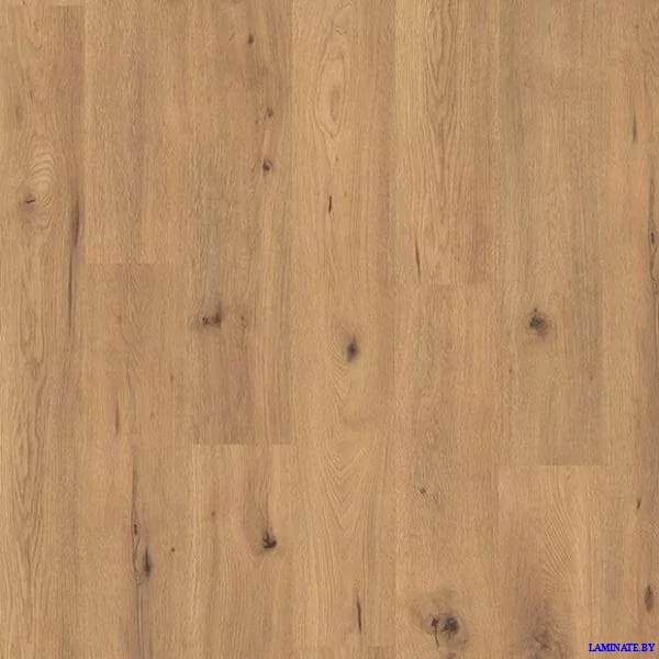 Ламинат EGGER Pro Classic 4V EPL182 Дикий дуб натуральный в Минске | Laminate.by