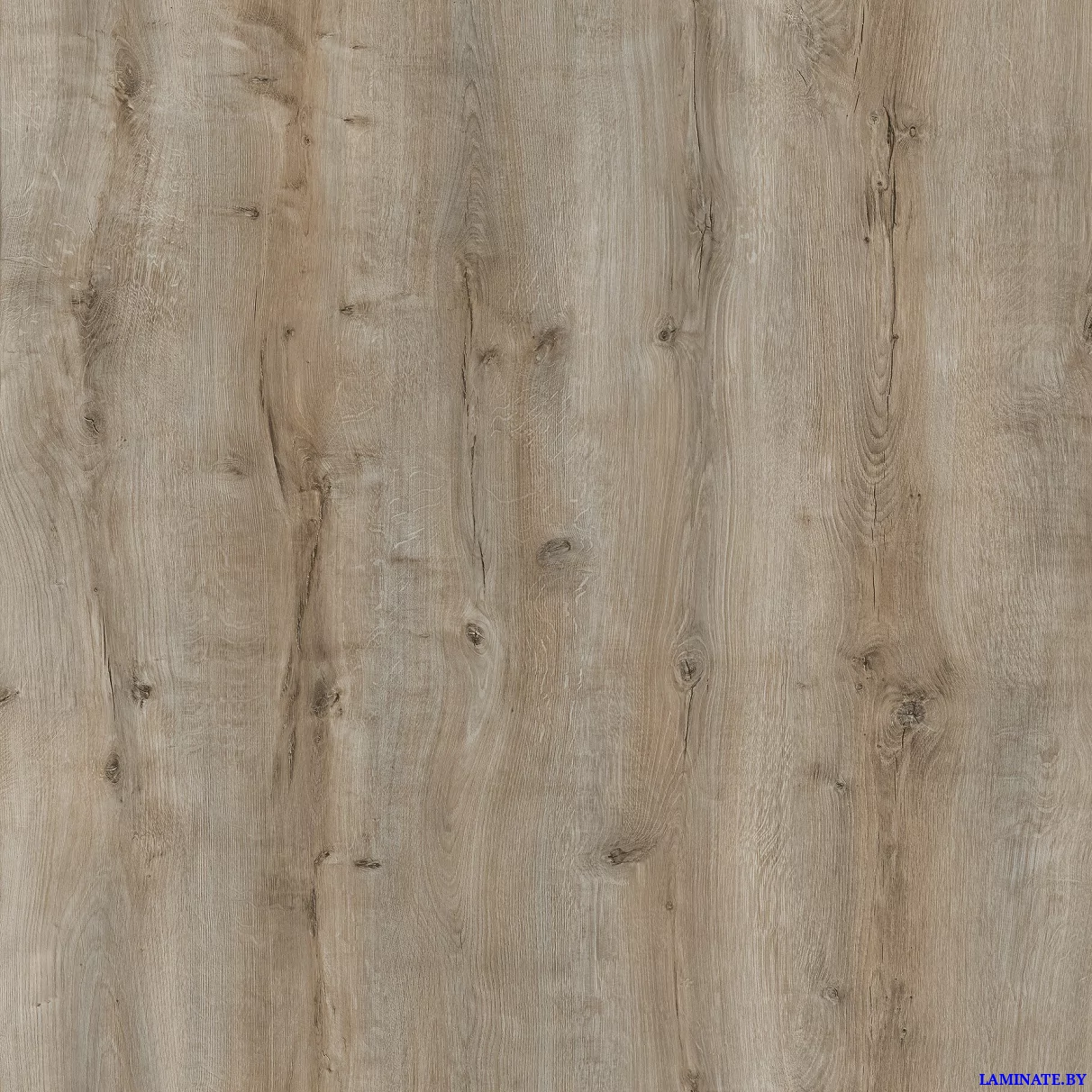 Ламинат Kastamonu Violet Дуб Восток 1121 в Минске | Laminate.by