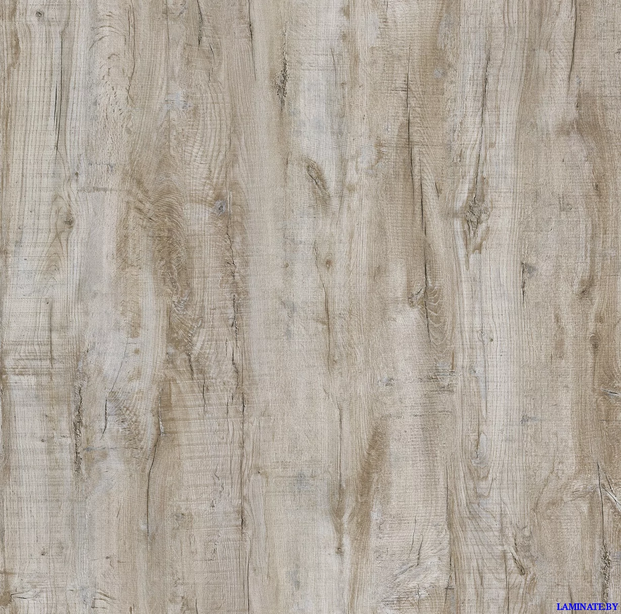 Ламинат Kastamonu Violet Дуб Орион 1126 в Минске | Laminate.by
