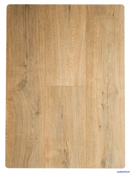 Ламинат Unilin Clix Floor Basis CXB600 Дуб Грас в Минске | Laminate.by