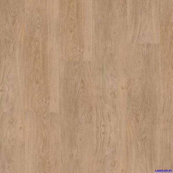 Виниловый пол Tarkett Progressive House Darin