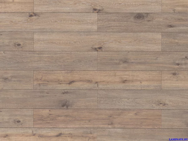 Ламинат Egger Pro Classic Дуб Арли темный EPL218 в Минске | Laminate.by