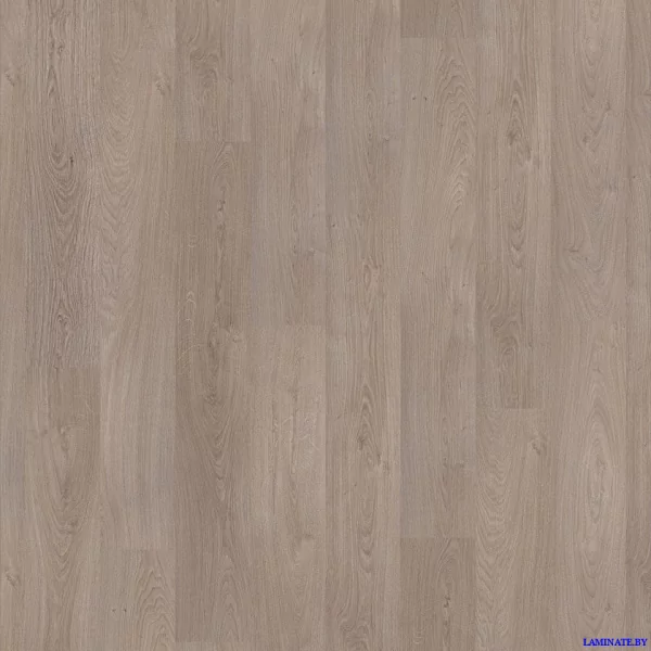 Ламинат Tarkett Woodstock Дуб Шервуд Северный в Минске | Laminate.by
