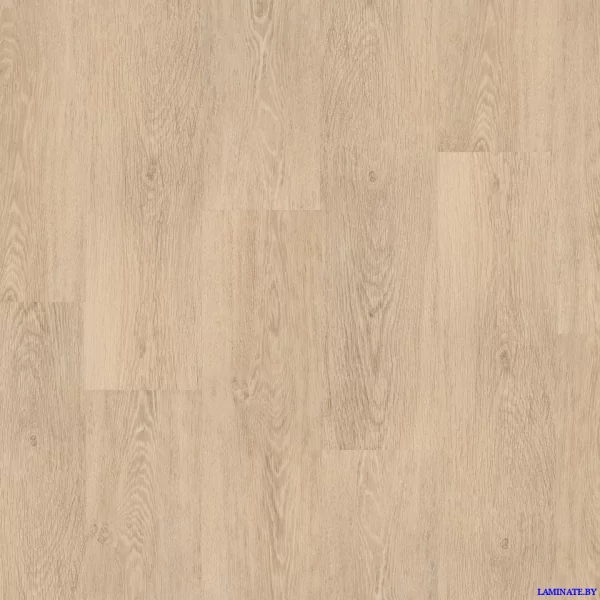 Виниловый пол Tarkett Progressive House Steve