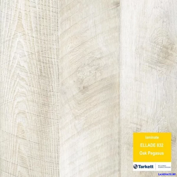 Ламинат Tarkett Ellada Дуб Пегас в Минске | Laminate.by