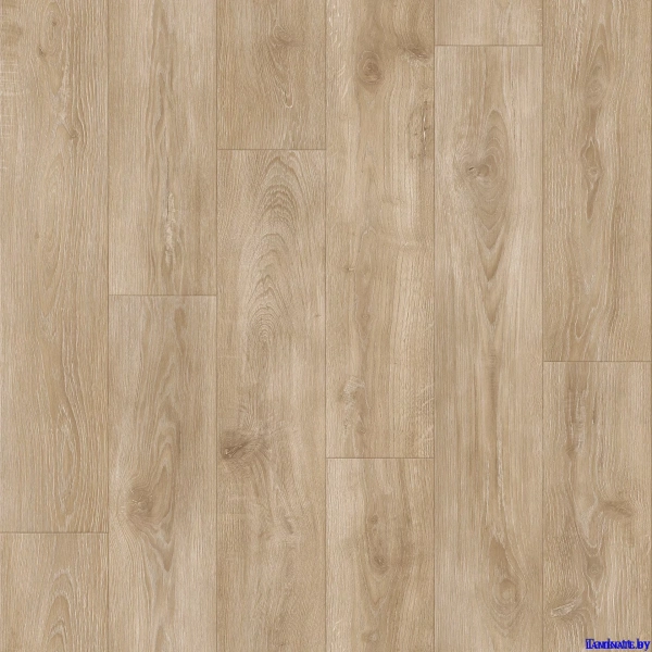 Линолеум Tarkett IDYLLE NOVA (Идиллия Нова) - MOTION 3 | Laminate.by